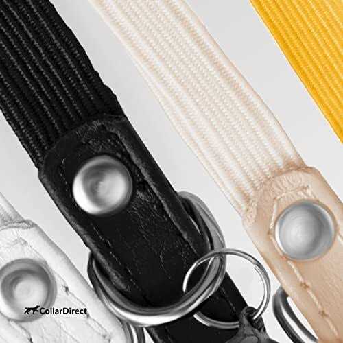 Leather Cat Collar with Bell W53154