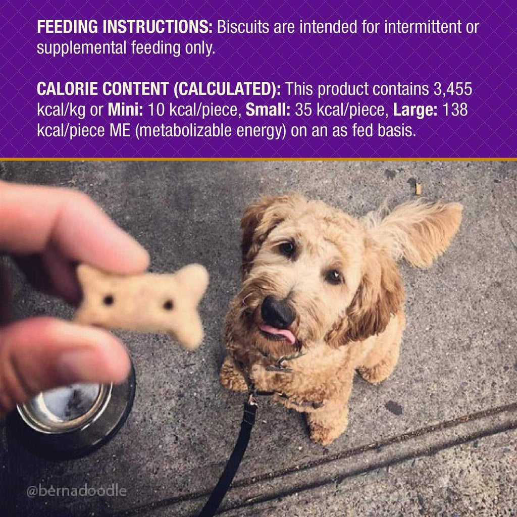 Baked Dog Treats Small H26834