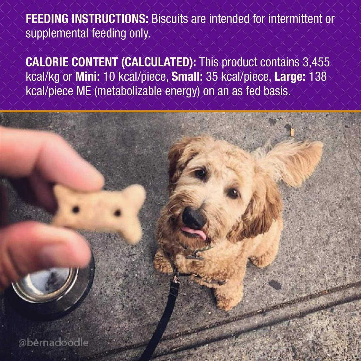 Baked Dog Treats Small H26834