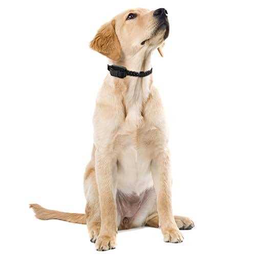 Remote Dog Training Collars N4998